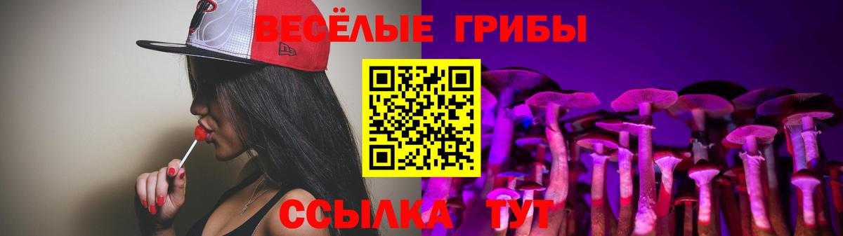 Псилоцибиновые грибы Psilocybine cubensis Ипатово